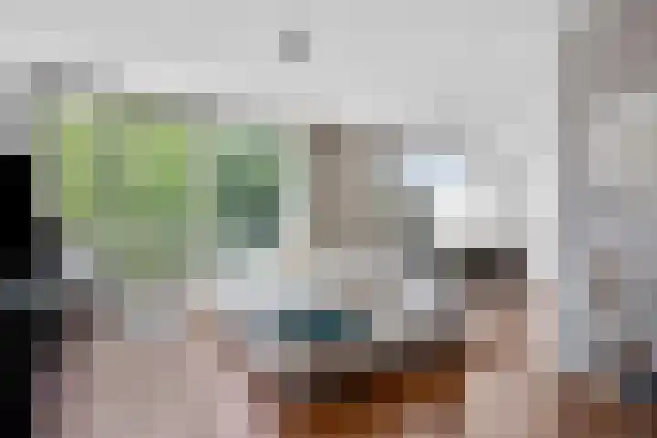 Waterbieskreek 56 Leiderdorp thumbnail 4