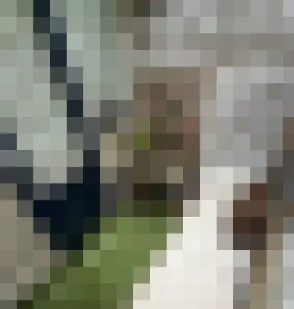 Waterblok 75 Delft thumbnail 10
