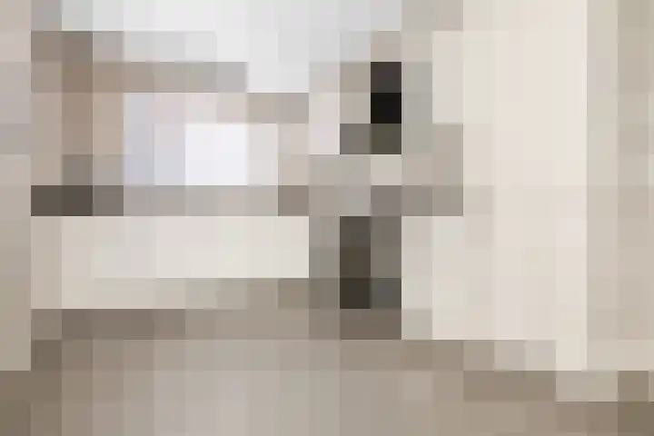 Waterdam 11 Wierden thumbnail 18