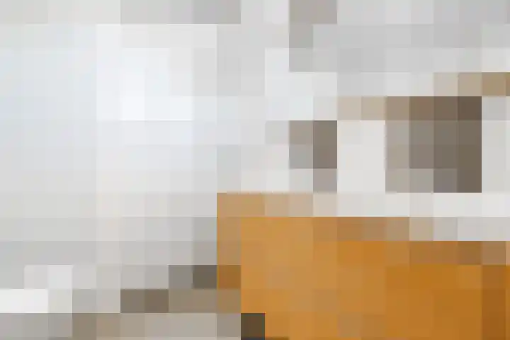 Waterdam 11 Wierden thumbnail 29