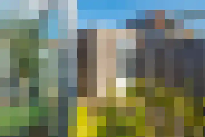 Waterdam 11 Wierden thumbnail 41