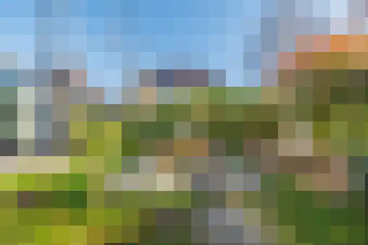 Waterdam 11 Wierden thumbnail 48
