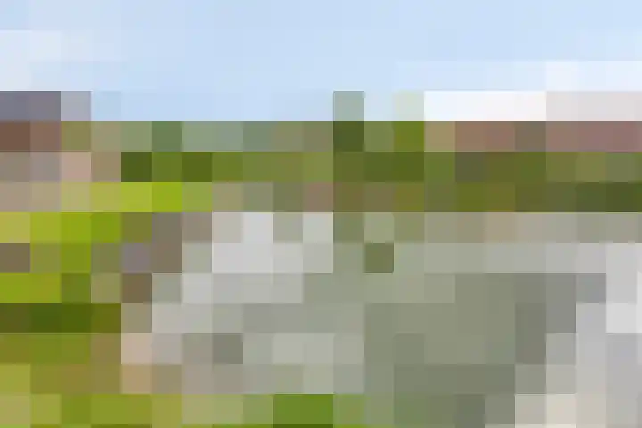 Waterdorp 68 Beuningen Gld thumbnail 34