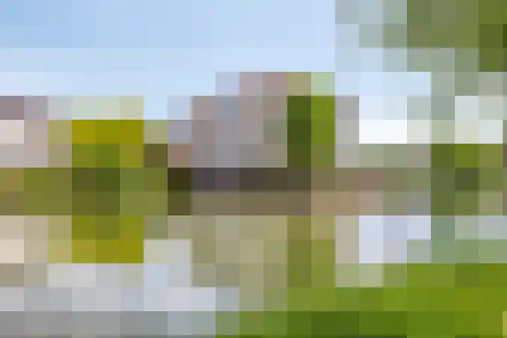 Waterdorp 68 Beuningen Gld thumbnail 7
