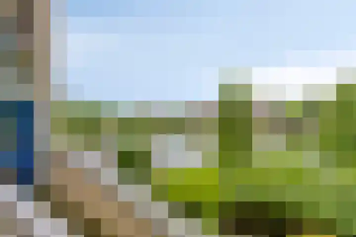 Waterdorp 68 Beuningen Gld thumbnail 9