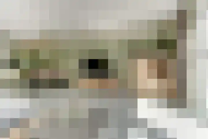 Waterfront 113 Dronten thumbnail 12