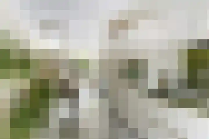 Waterfront 113 Dronten thumbnail 18