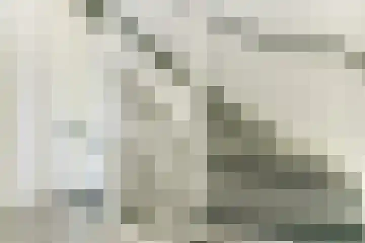 Waterfront 113 Dronten thumbnail 21