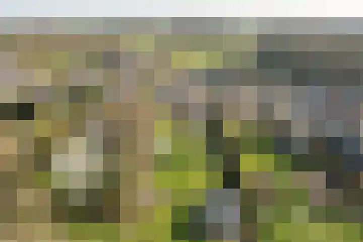 Waterfront 113 Dronten thumbnail 42