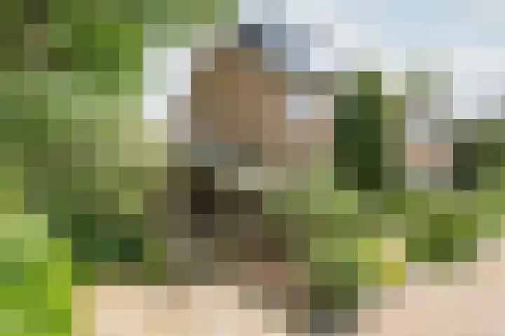 Waterfront 113 Dronten thumbnail 49