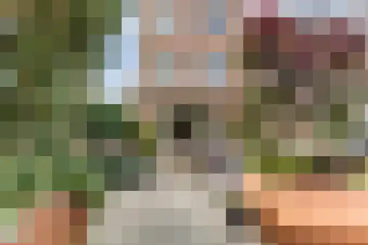 Waterfront 113 Dronten thumbnail 5