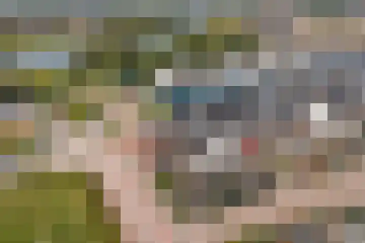 Waterfront 113 Dronten thumbnail 51