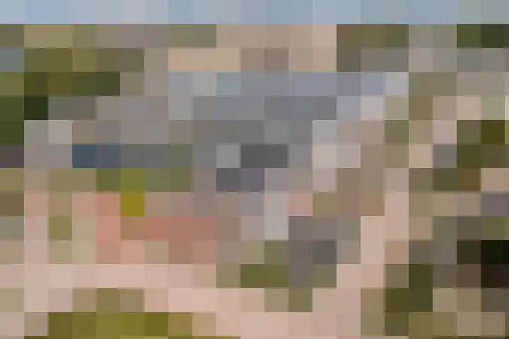 Waterfront 113 Dronten thumbnail 52