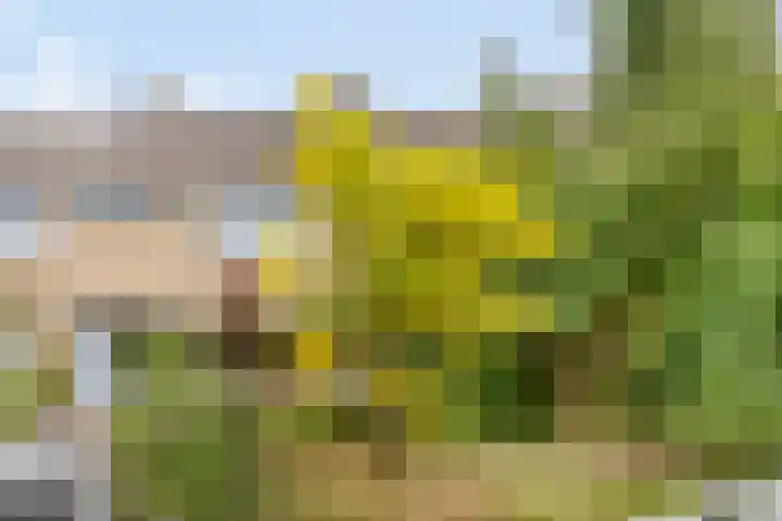 Waterfront 113 Dronten thumbnail 59