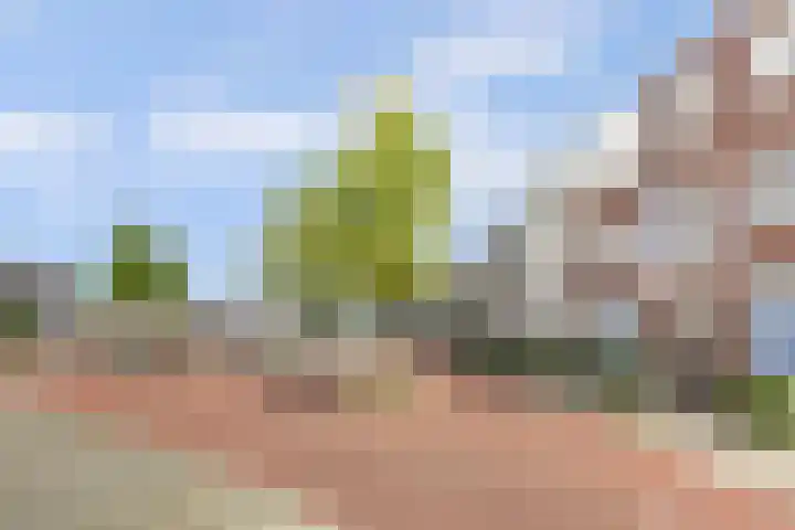 Waterfront 113 Dronten thumbnail 6