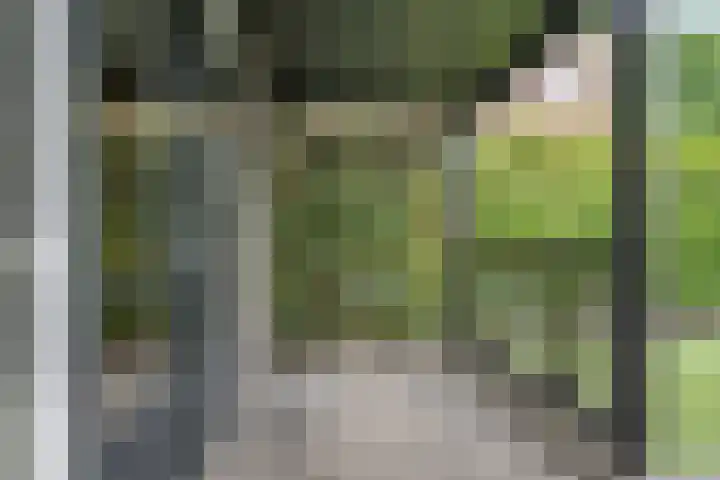 Waterfront 25 Dronten thumbnail 31