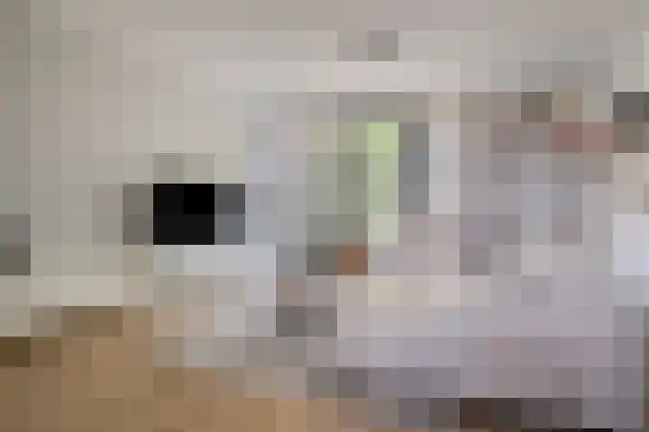Waterfront 27 Eindhoven thumbnail 20