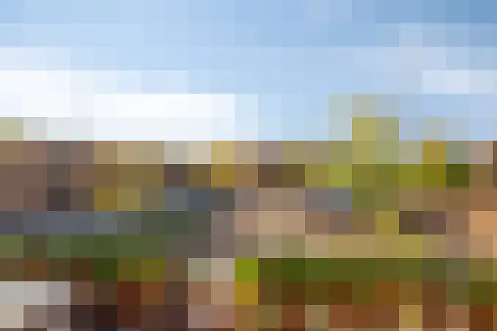 Waterfront 27 Eindhoven thumbnail 32