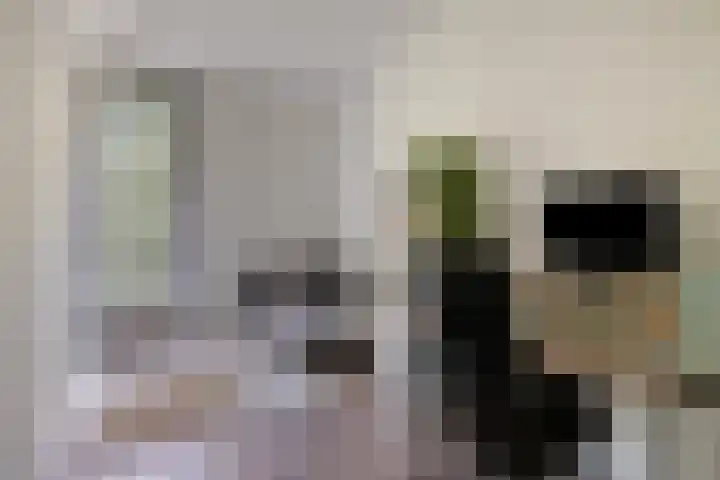 Waterfront 27 Eindhoven thumbnail 37