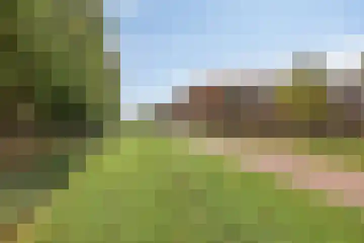 Waterfront 27 Eindhoven thumbnail 43