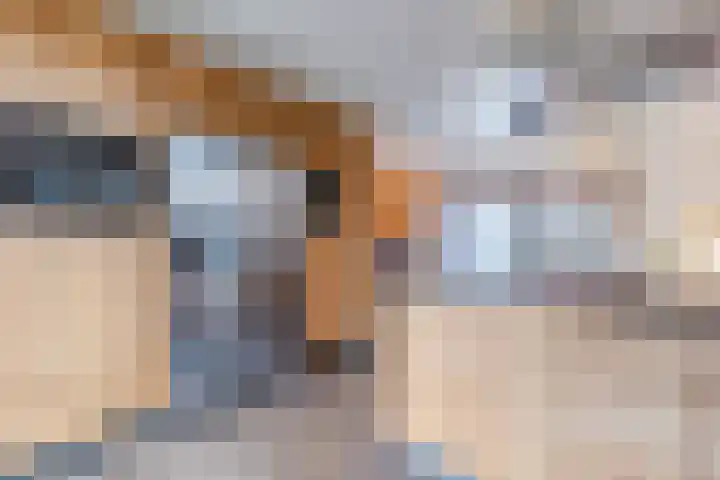 Waterfront 311 Eindhoven thumbnail 17