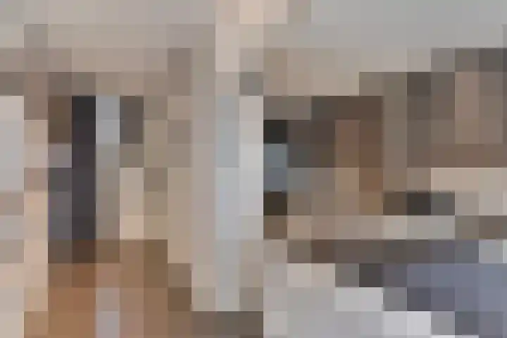 Waterfront 35 Eindhoven thumbnail 11
