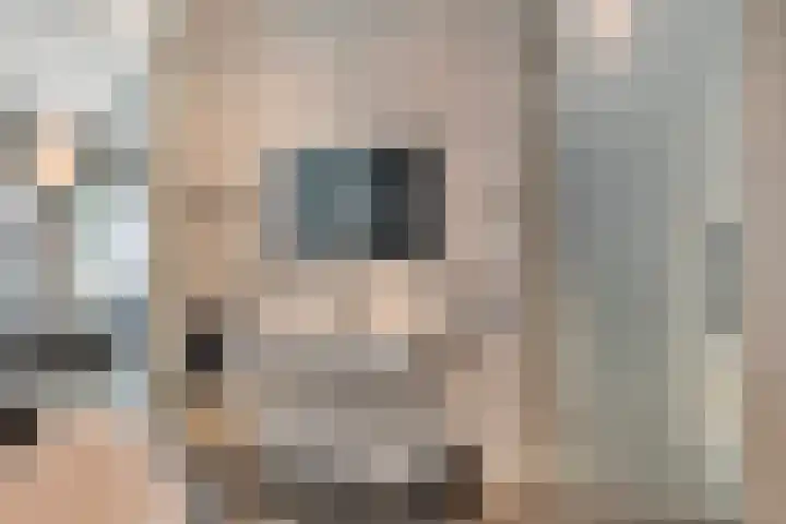 Waterfront 35 Eindhoven thumbnail 15