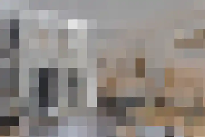 Waterfront 35 Eindhoven thumbnail 16