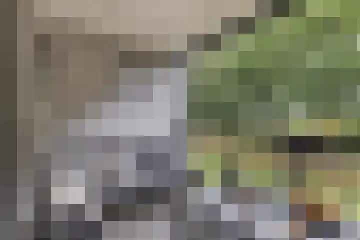 Waterfront 35 Eindhoven thumbnail 18