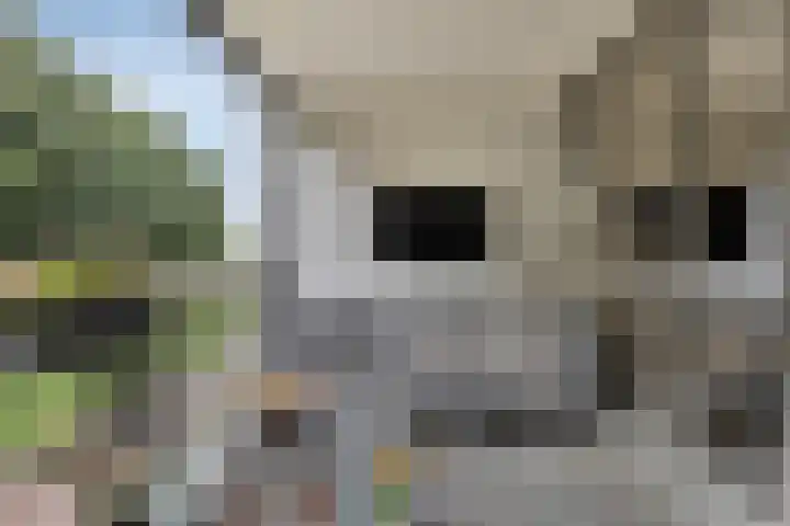 Waterfront 35 Eindhoven thumbnail 19
