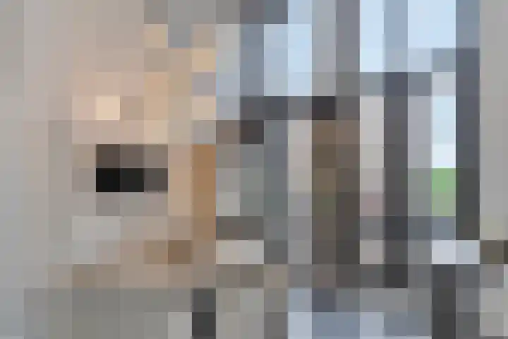 Waterfront 35 Eindhoven thumbnail 20