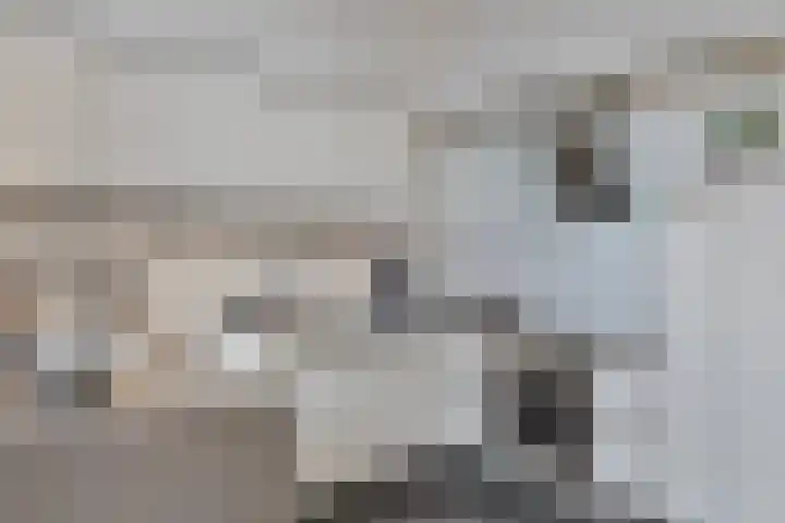 Waterfront 35 Eindhoven thumbnail 23