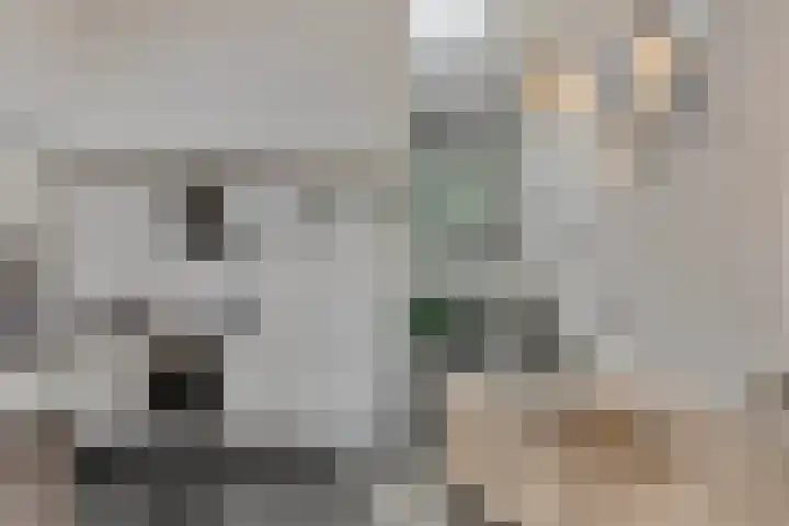 Waterfront 35 Eindhoven thumbnail 24