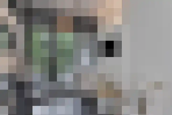 Waterfront 35 Eindhoven thumbnail 26