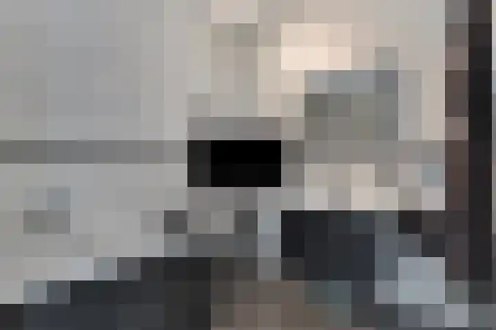 Waterfront 35 Eindhoven thumbnail 28