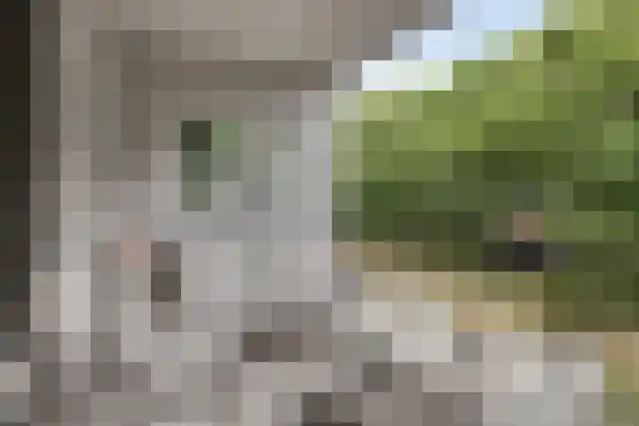 Waterfront 35 Eindhoven thumbnail 33