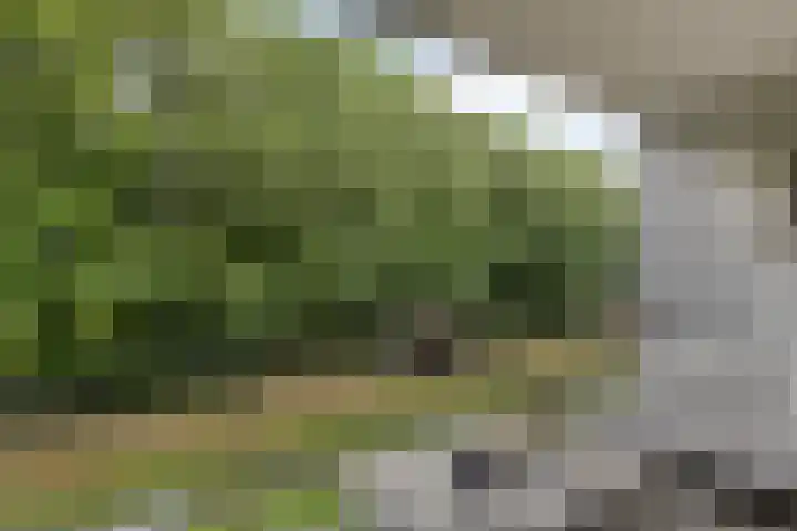 Waterfront 35 Eindhoven thumbnail 34