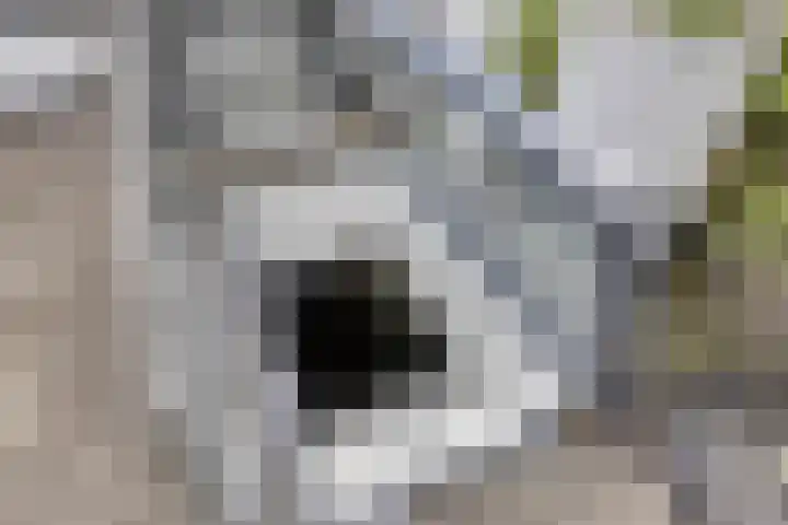 Waterfront 35 Eindhoven thumbnail 35