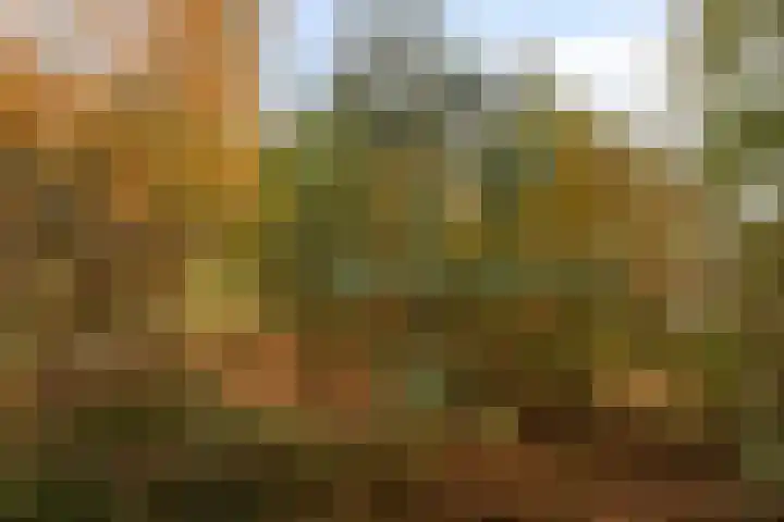 Waterfront 41 Eindhoven thumbnail 12