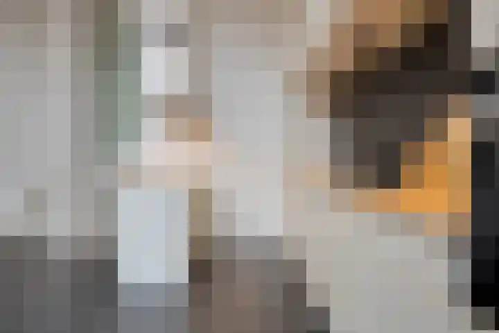 Waterfront 41 Eindhoven thumbnail 17