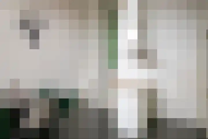 Waterfront 41 Eindhoven thumbnail 19