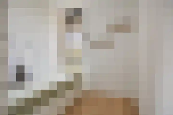 Waterfront 41 Eindhoven thumbnail 21