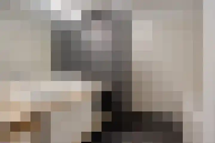 Waterfront 41 Eindhoven thumbnail 26