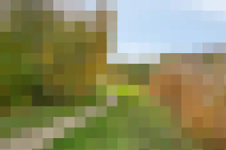 Waterfront 41 Eindhoven thumbnail 35