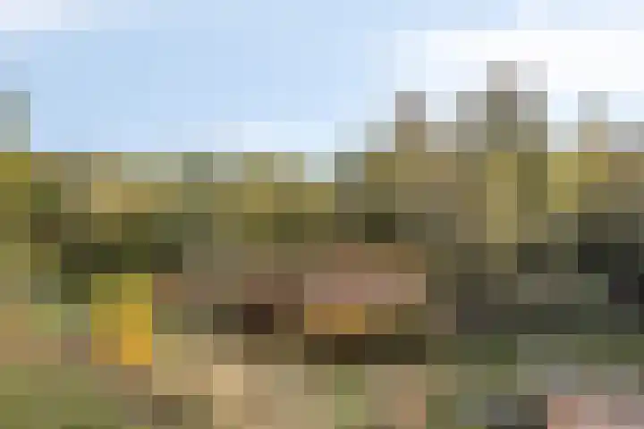 Waterfront 41 Eindhoven thumbnail 36