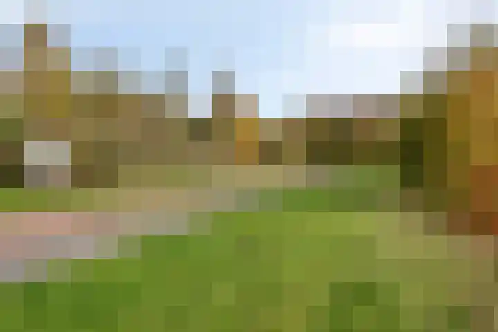 Waterfront 41 Eindhoven thumbnail 37