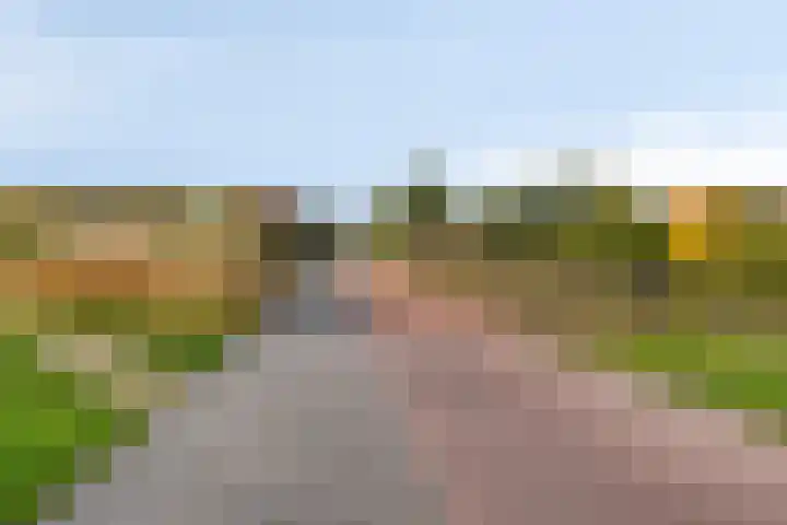 Waterfront 41 Eindhoven thumbnail 38