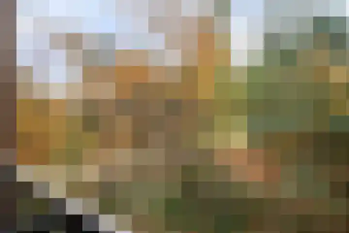 Waterfront 41 Eindhoven thumbnail 4