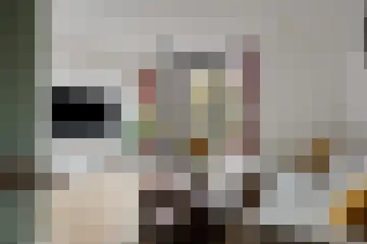 Waterfront 41 Eindhoven thumbnail 9