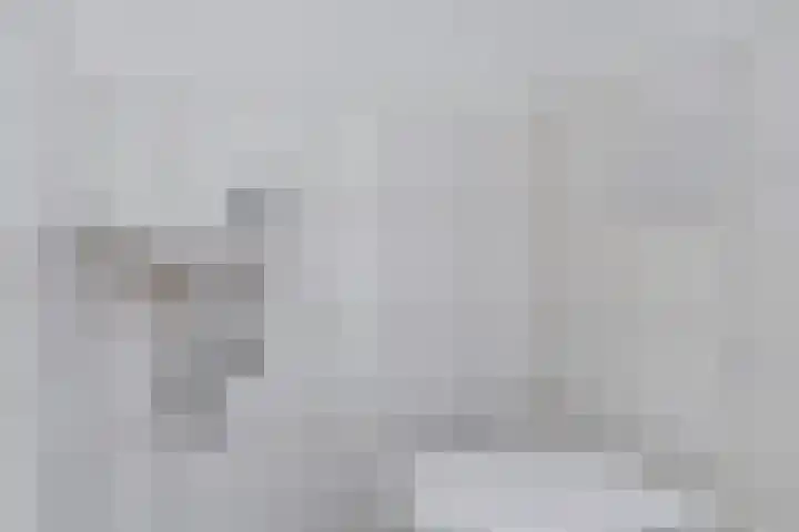 Waterfront 433 Eindhoven thumbnail 12